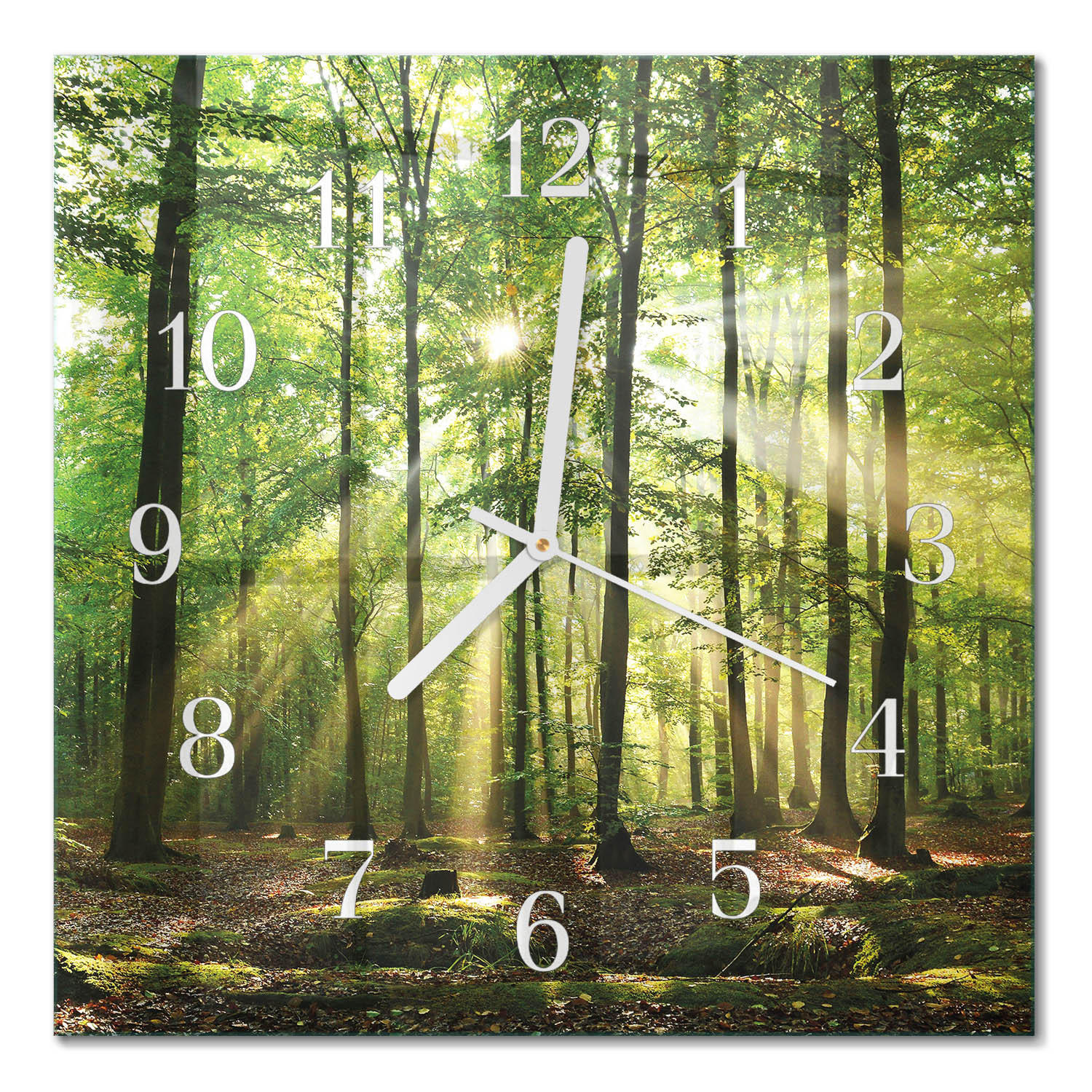 WANDUHR 30x30 cm - Waldnatur - Grün, Glas (30/30/0.4cm) - TULUP