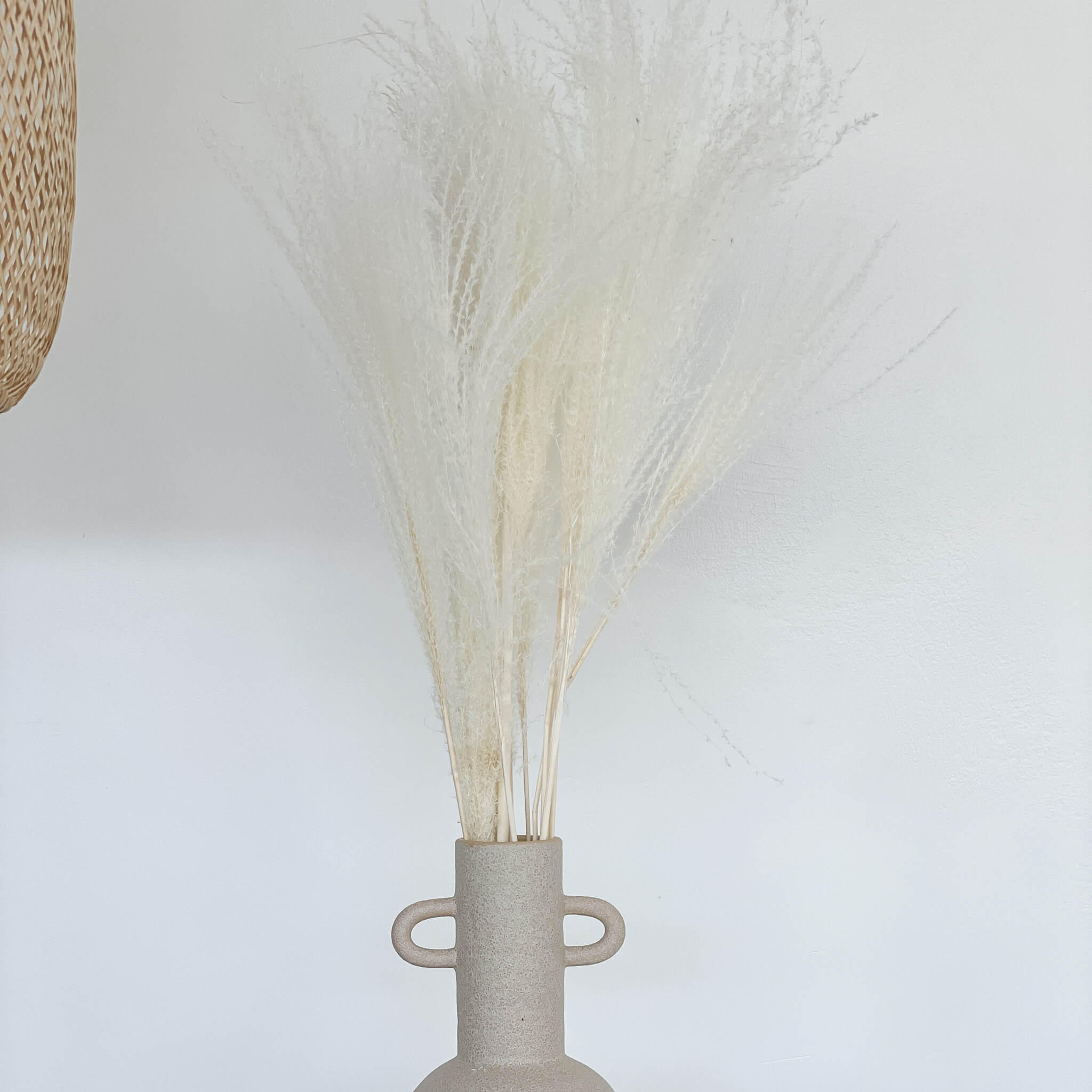 REED Gras: Boho-Chic - ein Hauch von Natürlichkeit für deine Vase - 1 Bund / weiß / 60 cm - Weiß, Naturmaterialien (60cm) - Lykke & You