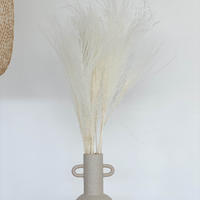 REED Gras: Boho-Chic - ein Hauch von Natürlichkeit für deine Vase - 1 Bund / weiß / 60 cm - Weiß, Naturmaterialien (60cm) - Lykke & You