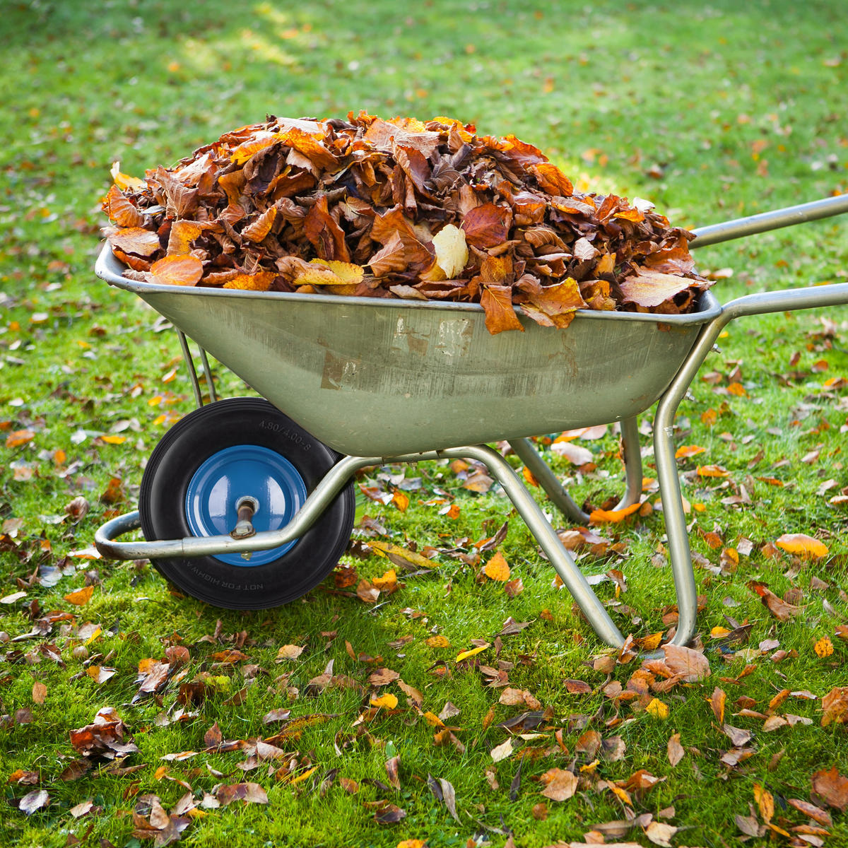 SCHUBKARRENRAD - Multicolor, Kunststoff/Metall (39/39/9cm) - Relaxdays