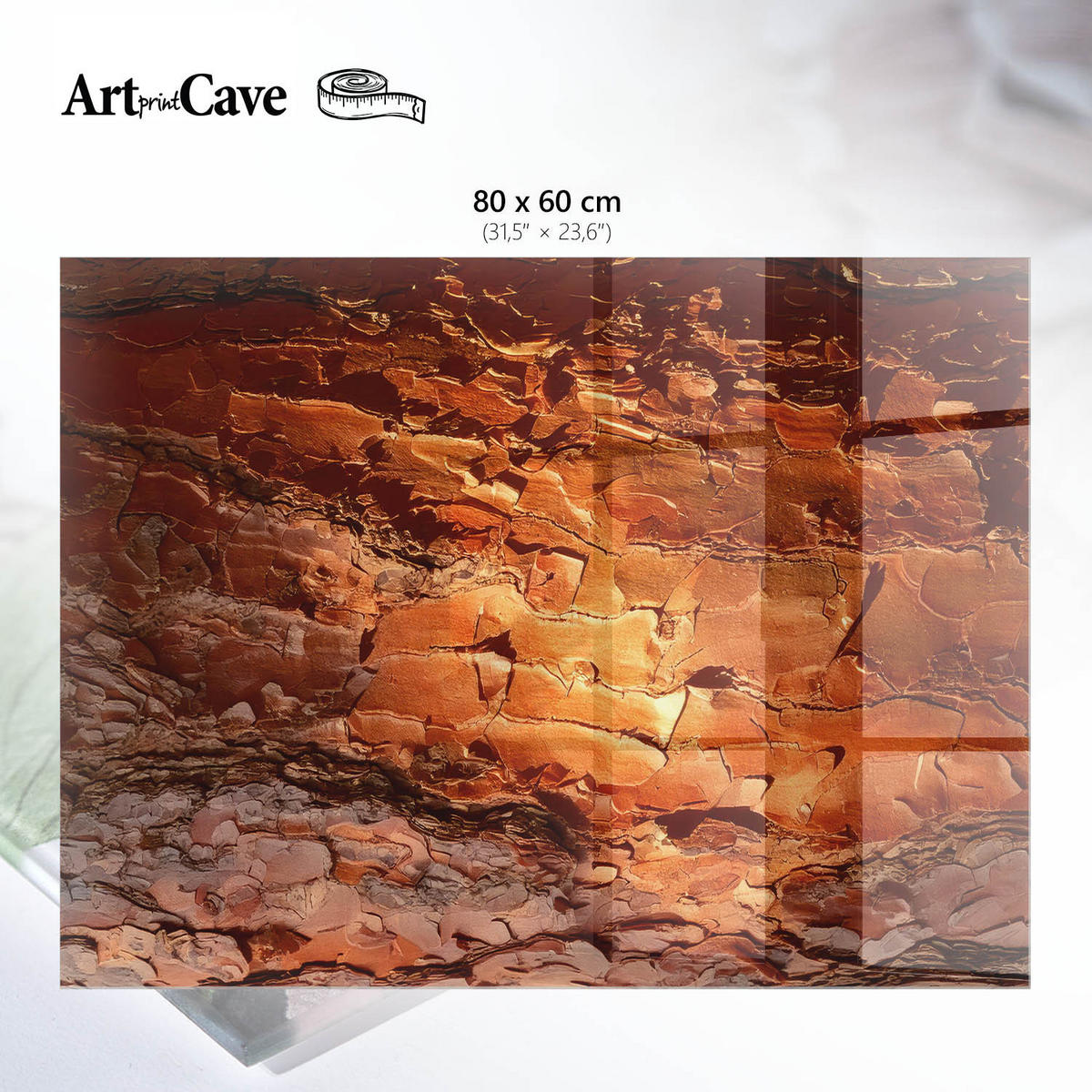 GLASPLATTE 80x60 cm – Baumtextur - Grau, Glas (0.4/80/60cm) - ArtPrintCave