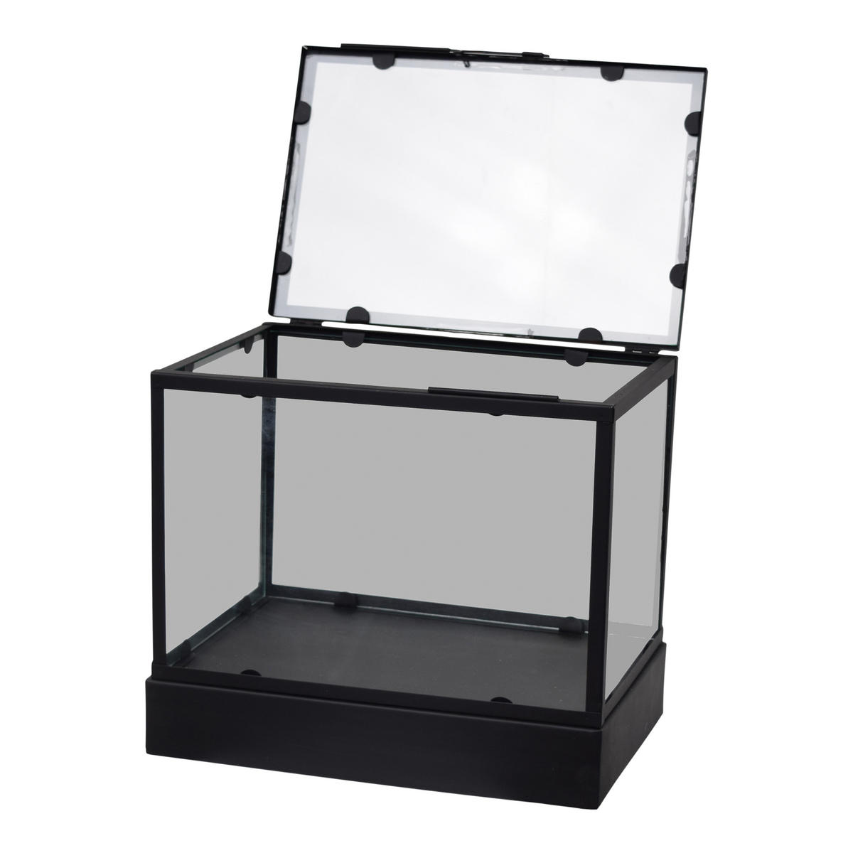 DISPLAYBOX Vitrine Schwarz - Schwarz, Metall (30/27/20cm) - LOFT42