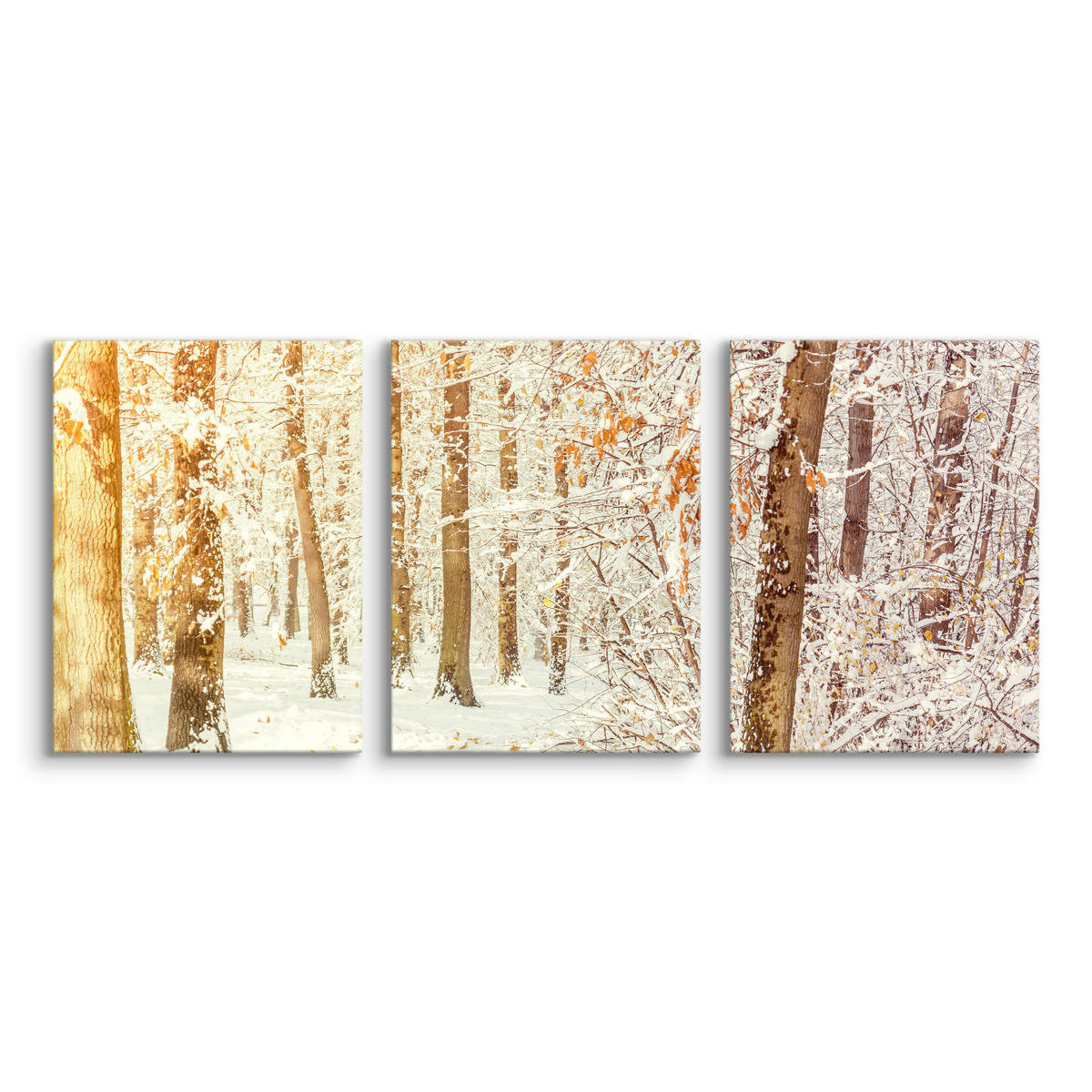 LEINWANDBILDER 3-es Set Wald Bäume 3D - Beige/Weiß, Textil (90/40cm) - Muralo