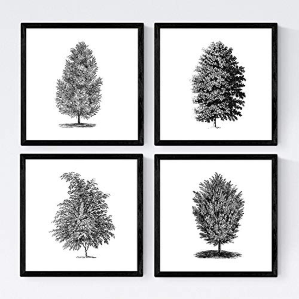 POSTER Set mit 4 Blättern der Bäume sehr fondosos, weiß 20x20cm Schwarzer Rahmen - Schwarz, Papier (20/3cm) - Nacnic