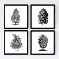 POSTER Set mit 4 Blättern der Bäume sehr fondosos, weiß 20x20cm Schwarzer Rahmen - Schwarz, Papier (20/3cm) - Nacnic