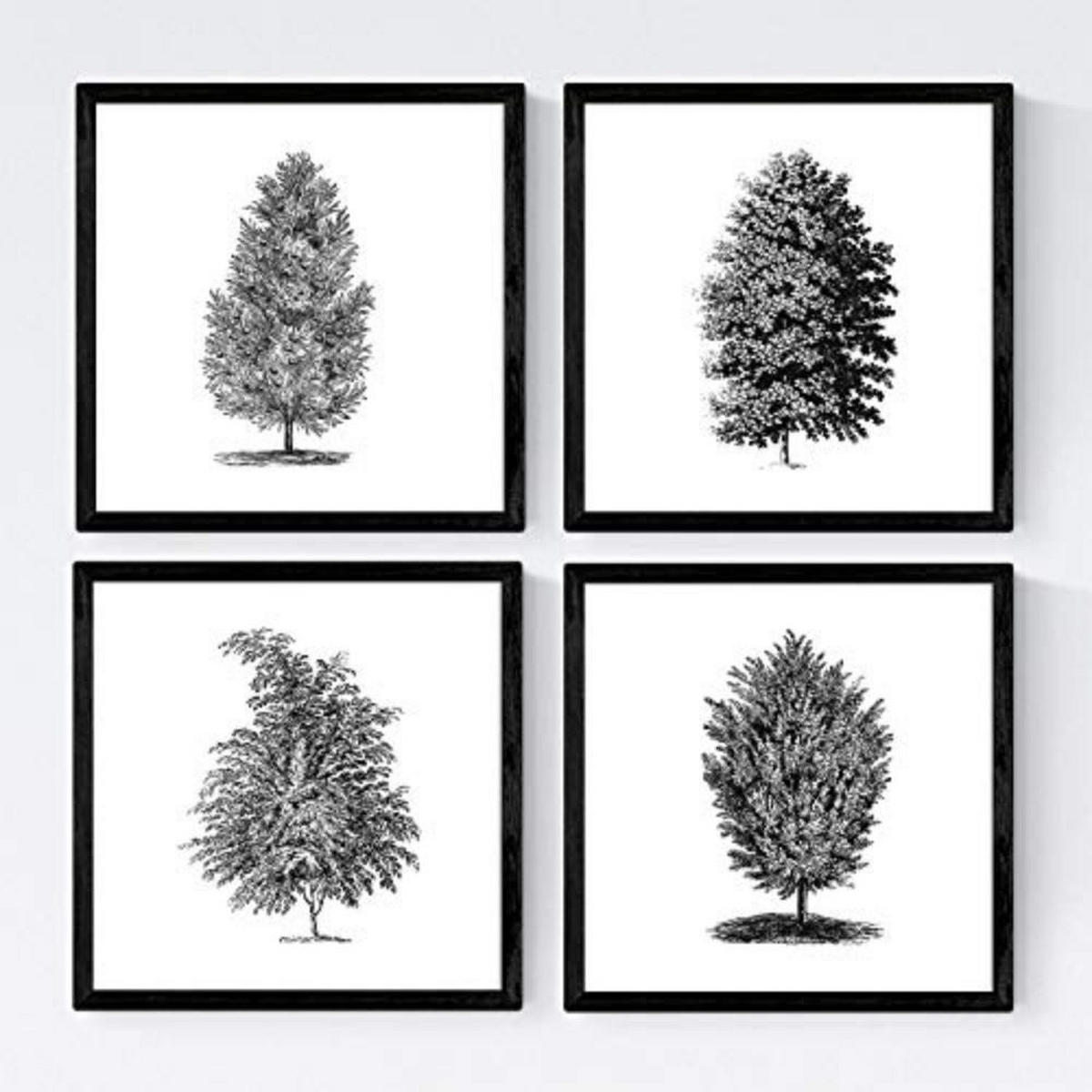 POSTER Set mit 4 Blättern der Bäume sehr fondosos, weiß 20x20cm Schwarzer Rahmen - Schwarz, Papier (20/3cm) - Nacnic