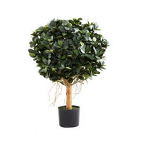 KUNSTBAUM Künstlicher Ficus Panda – Tiberia 70 cm - Grün, Kunststoff (70cm) - aplanta