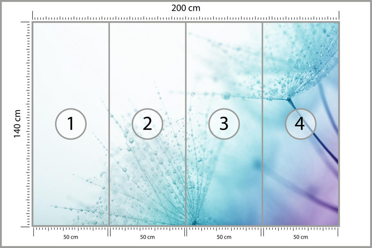 FOTOTAPETE für Badezimmer Leuchtende Löwenzahnblüten Wassertropfen Blau 200x140 - Türkis/Blau, Papier (200/140cm) - Muralo