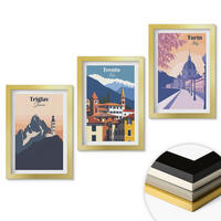 WANDBILDER 3er Set - 20x30 cm Goldrahmen - Retro-Illustrationen zur Bergarchitektur - Goldfarben, Kunststoff (20/30cm) - ArtPrintCave