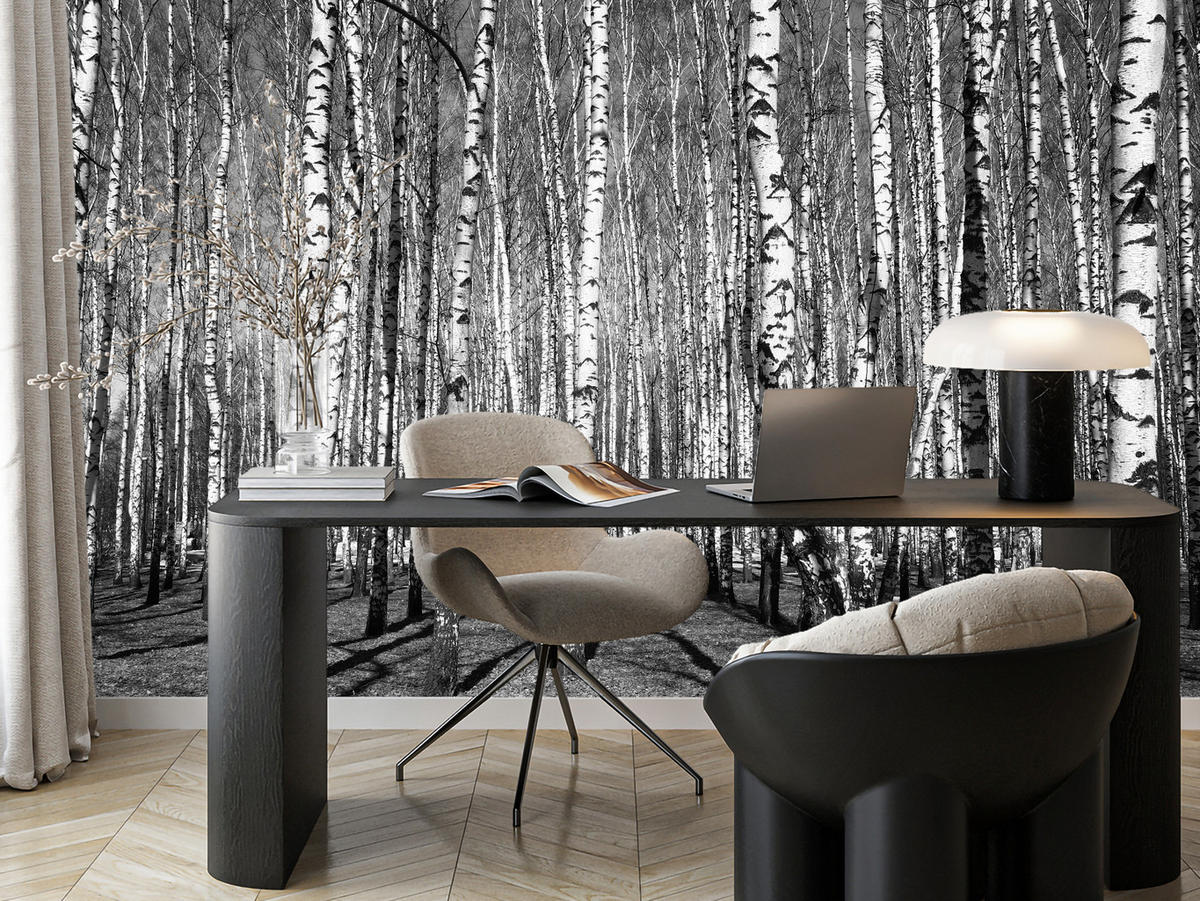 FOTOTAPETE für Wohnzimmer Birkenwald Schwarz-Weiß Minimalistisch 200x140 - Schwarz/Weiß, Papier (200/140cm) - Muralo