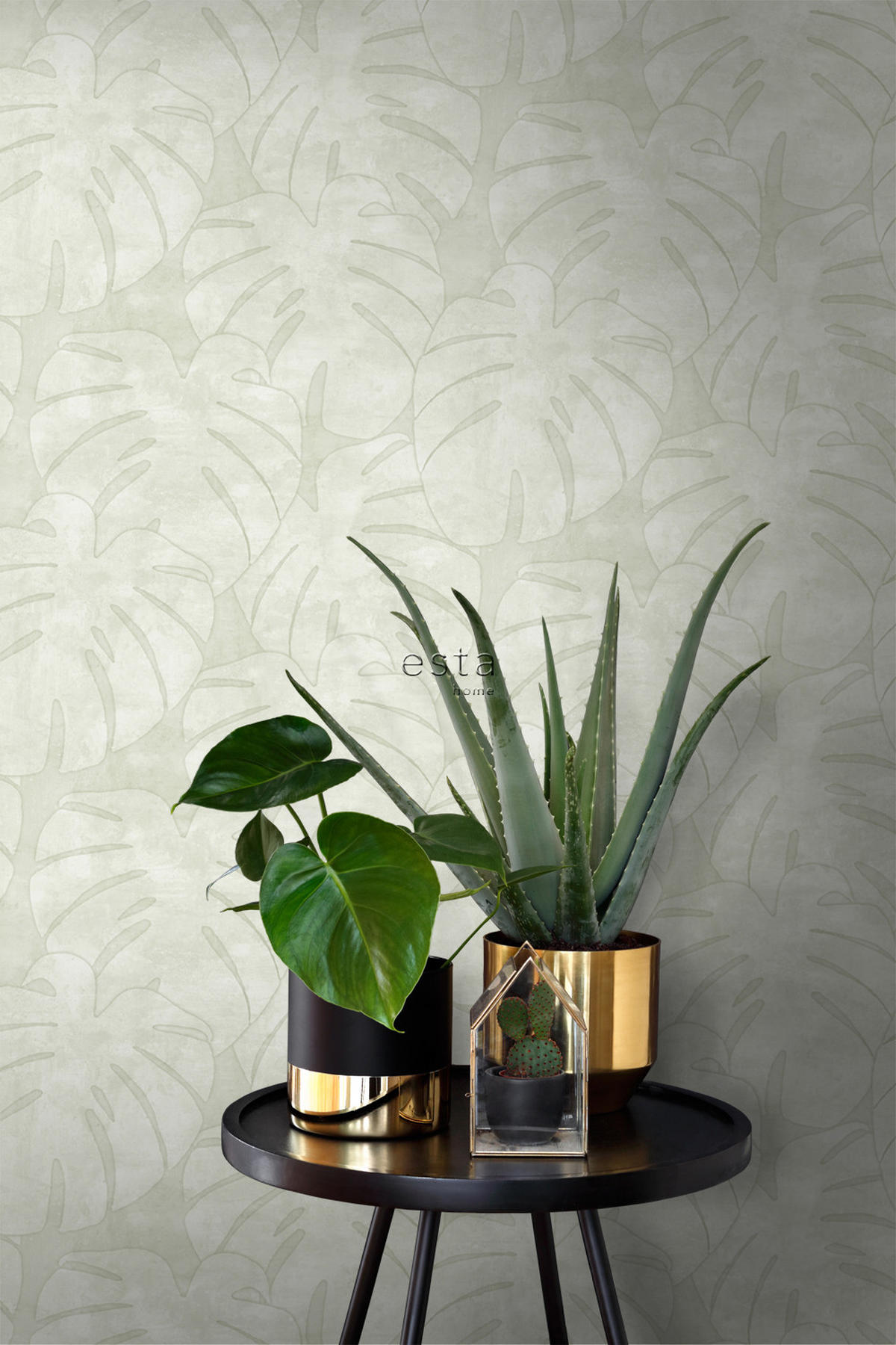 TAPETE Monstera-Blätter 53 cm x 10.05 m - Beige, Papier (53/1000cm) - ESTAhome