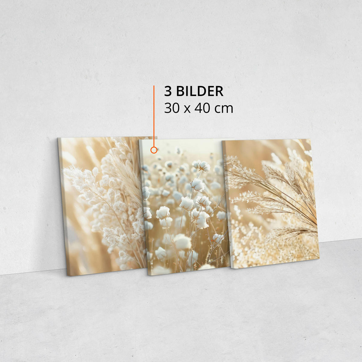 LEINWANDBILDER 3-es Set Pflanzen Natur - Beige/Weiß, Textil (90/40cm) - Muralo