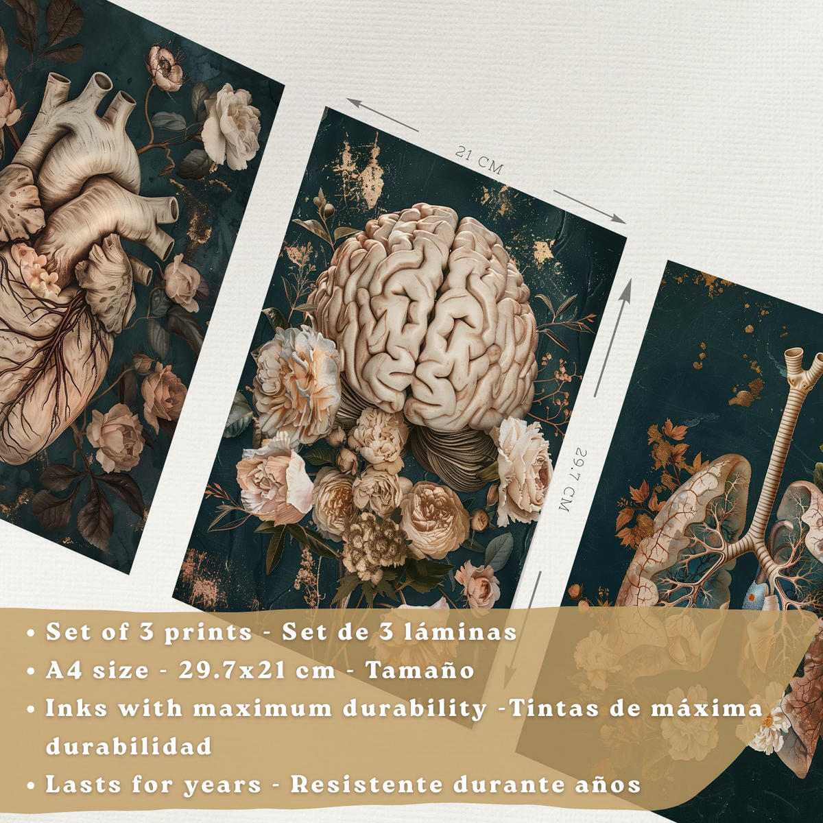 POSTER Set aus 3 Anatomie Drucke und Dekorative Wandbilder mit Herz Gehirn Lungen Atmungssystem Vintage Florales Grün Gold Design Größe Rahmenlos A4 - Klar, Papier (21/29.7/3cm) - Nacnic