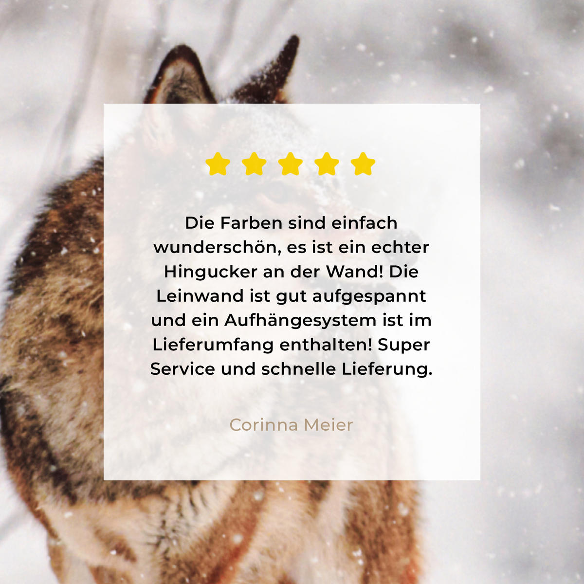 LEINWANDBILD Wolf - Winter - Schnee - Natur - Tiere 60x80 cm - Haselnussfarben, Textil (60/80cm) - MuchoWow