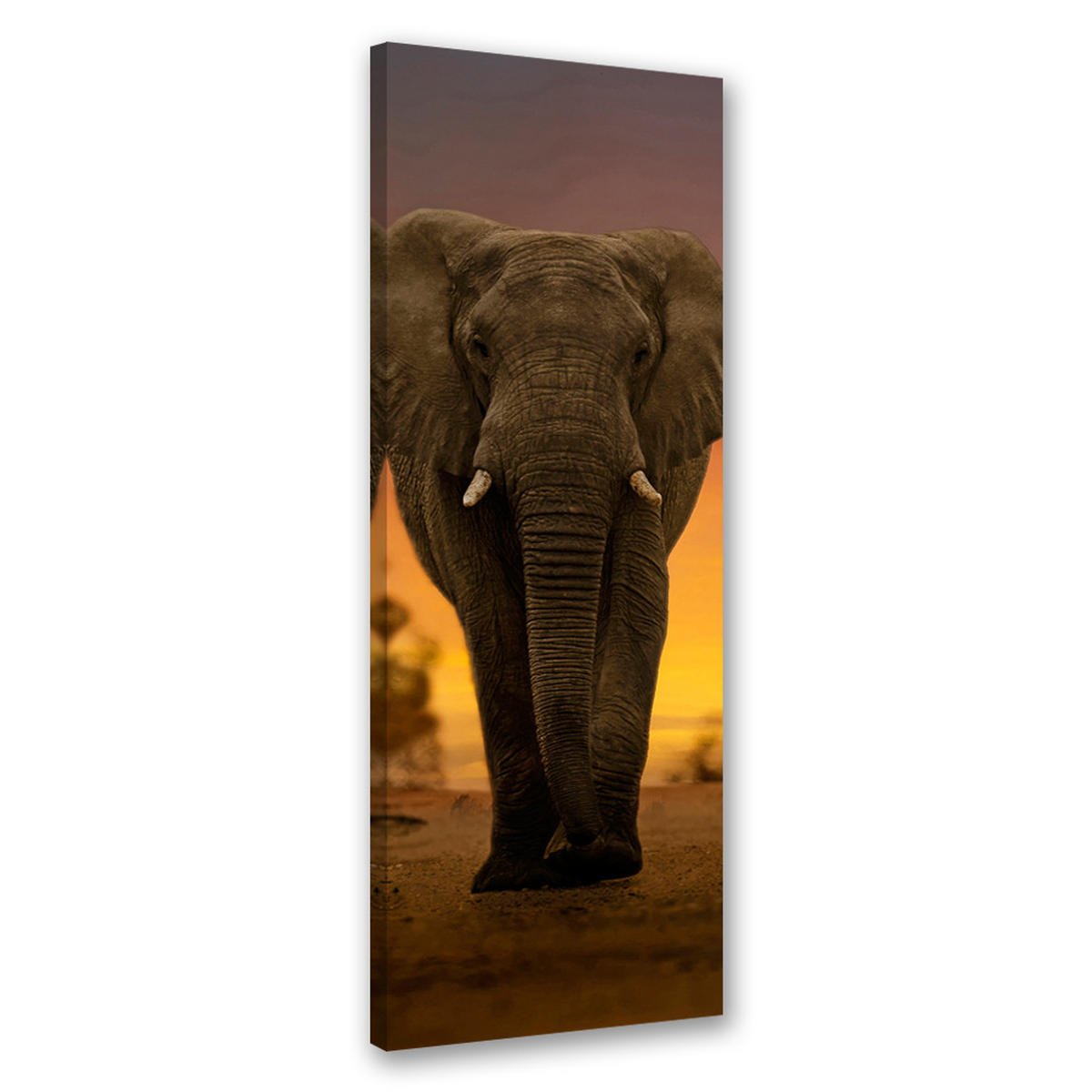 WANDBILD elefant in der wüste - Braun, Textil (30/90cm) - Feeby