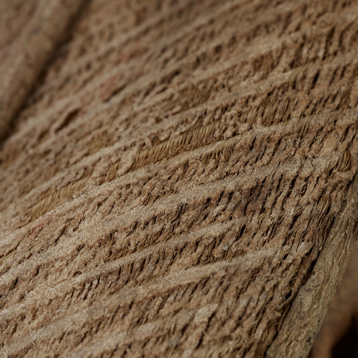 VOGELHAUS Deko - Braun, Holz/Textil (20.5/28.5/17.5cm) - Relaxdays