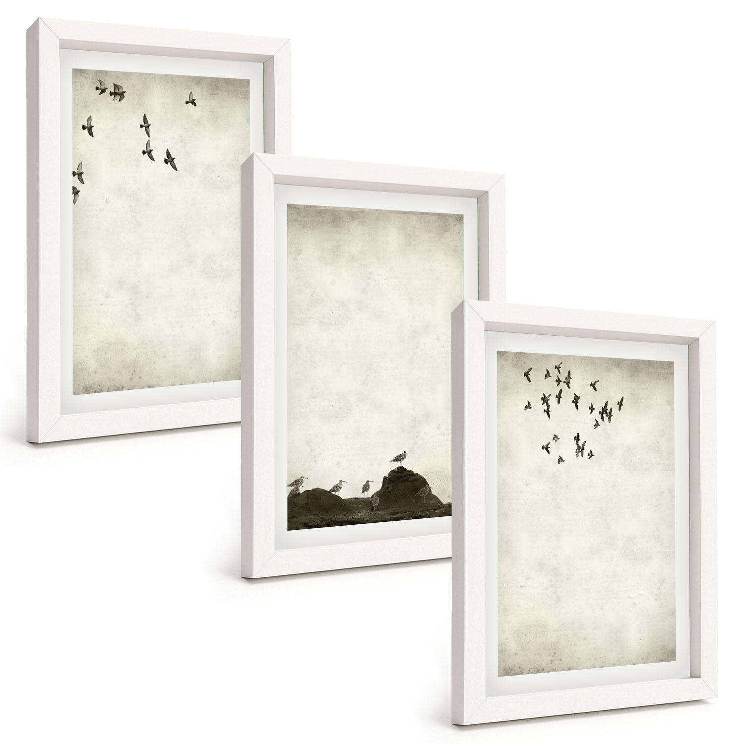 BILDER SET 3er Set - 20x30 cm Weißer Rahmen - Fliegende Vögel Minimalismus - Weiß, Kunststoff (20/30cm) - TULUP
