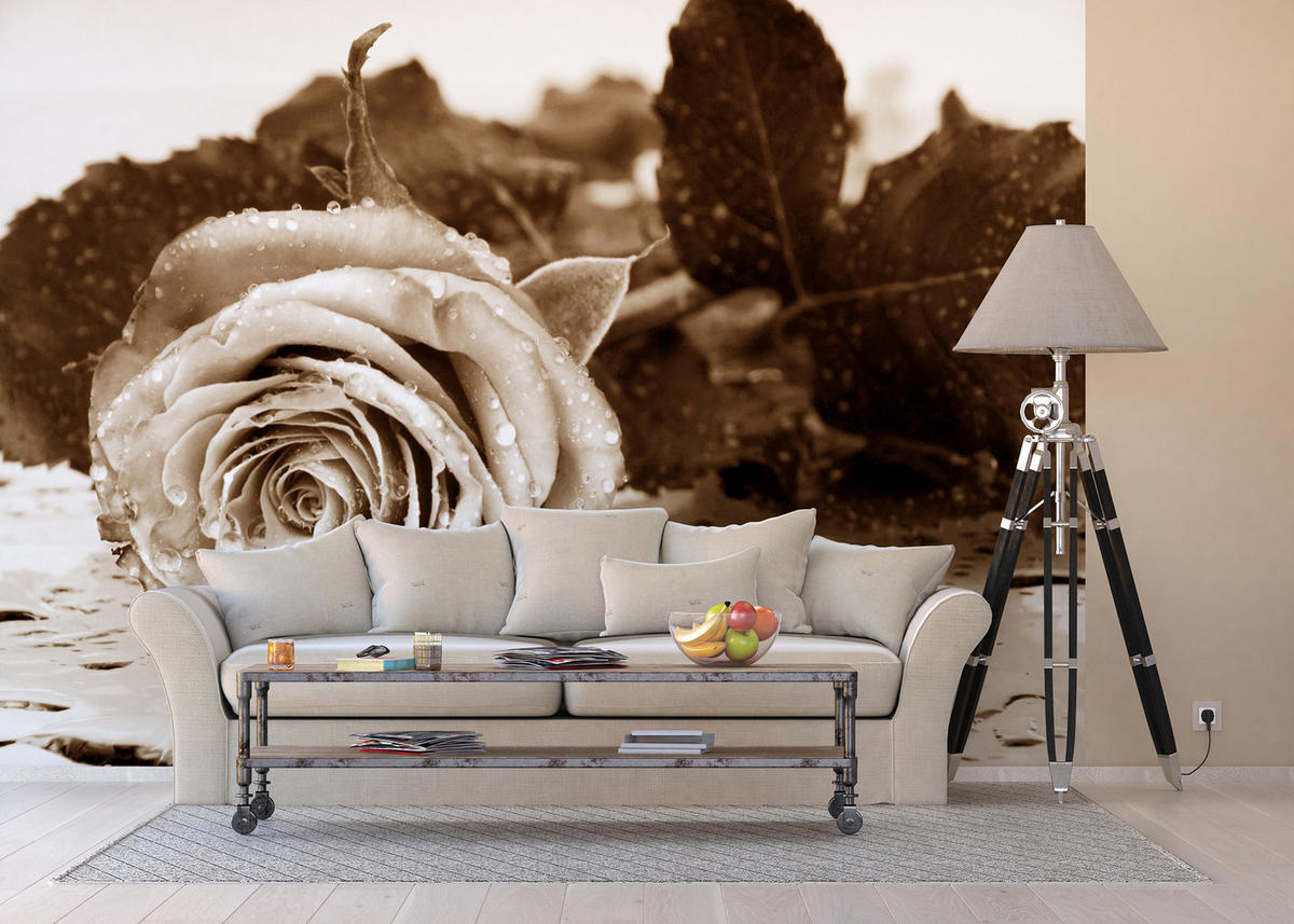 FOTOTAPETE Blumen 360 x 254 cm - Beige, Papier (360/254cm) - Sanders & Sanders