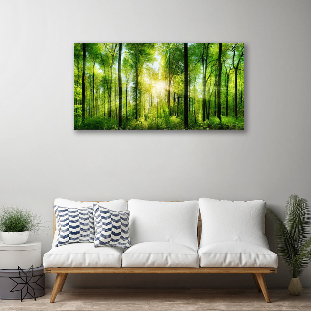 LEINWANDBILD 100x50 cm Sonnenstrahlen im Wald - Braun/Grün, Textil (100/4cm) - TULUP
