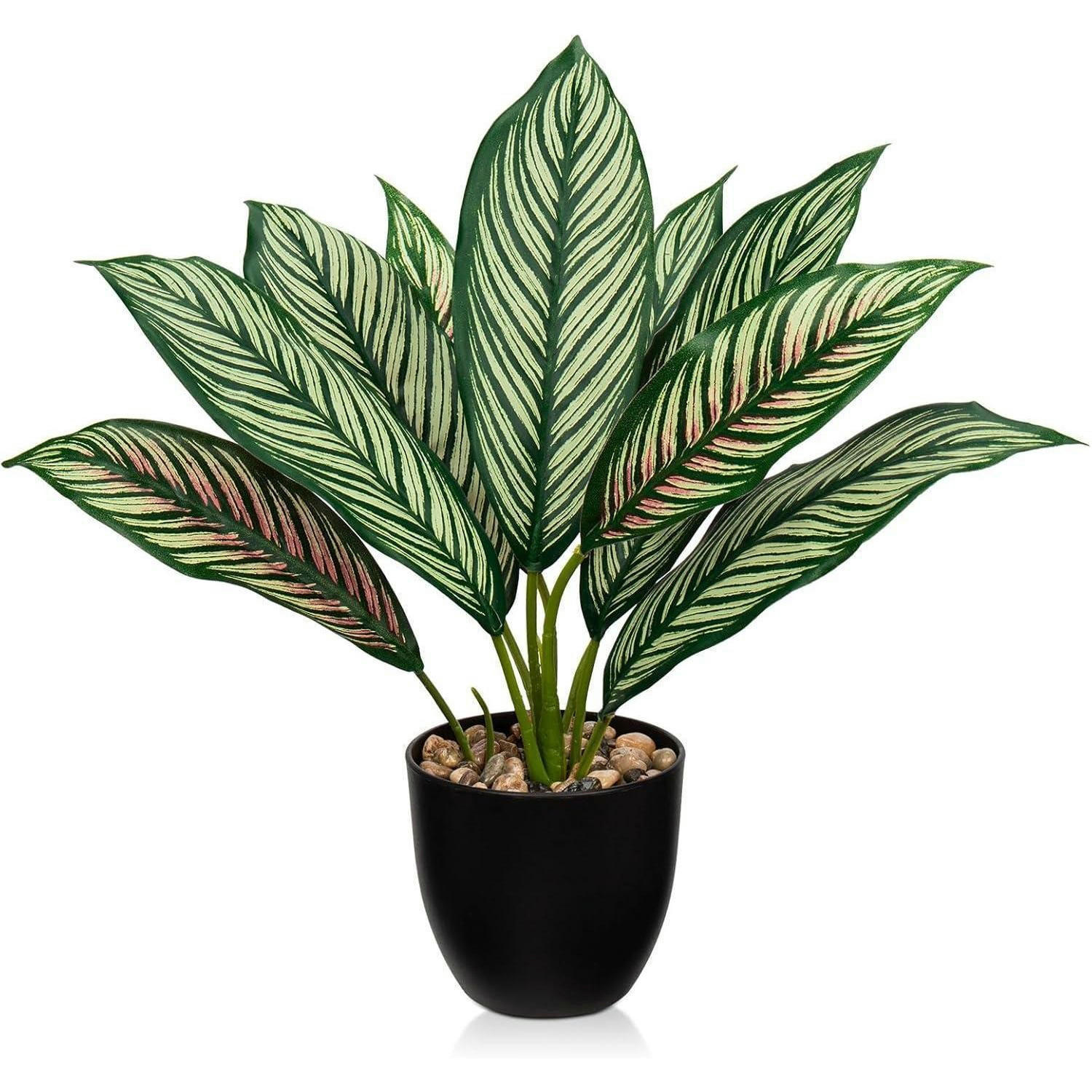 KUNSTPFLANZE Calathea Grün-Rot 33cm - Multicolor, Kunststoff (36cm)