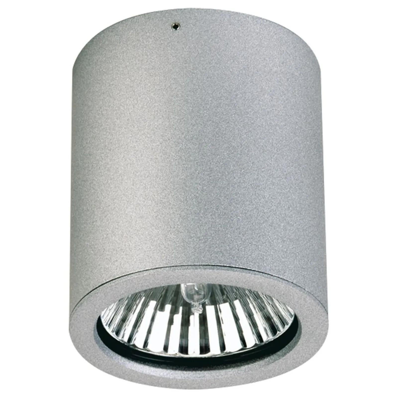AUSSENSTRAHLER Silber - Silberfarben, Metall (5.5/5.5/12.5cm) - click-licht