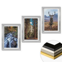 WANDBILDER 3er Set - 20x30 cm Silberner Rahmen - Wasserfall Wald Berge Hirsch Natur - Silberfarben, Kunststoff (20/30cm) - ArtPrintCave