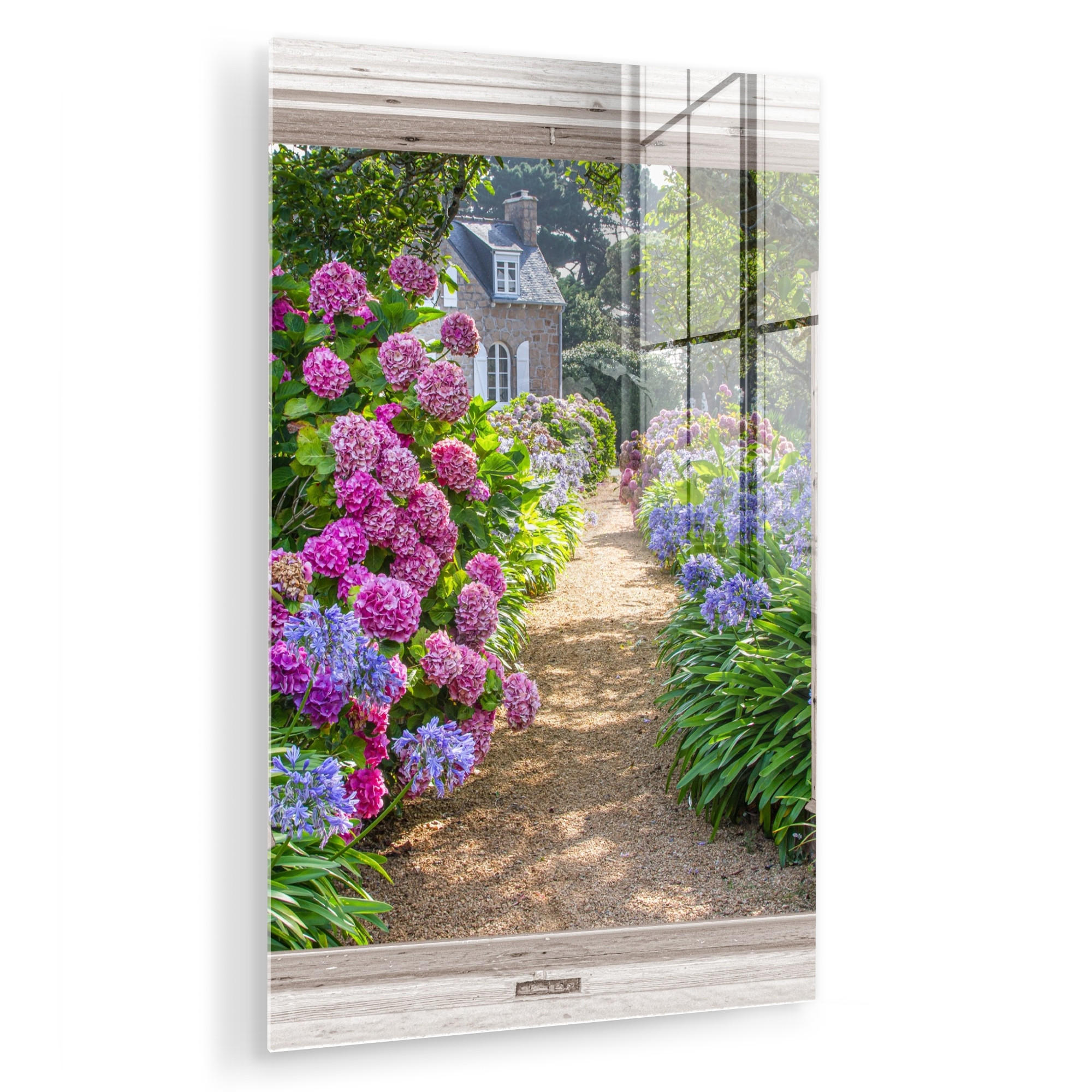 ACRYLGLASBILD Hortensie - Ansicht - Blumen - Sommer - Lila - Weg 40x60 cm - Lila, Glas (40/60cm) - MuchoWow