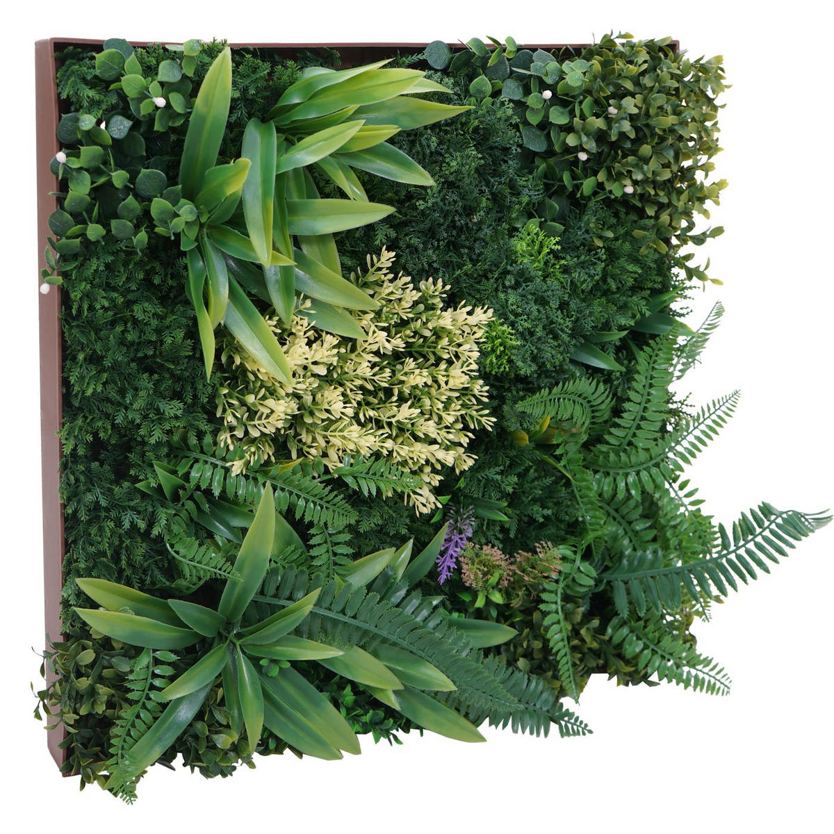 ROZTAŽITÉ OBRAZY Z RŮŽIČEK Zelená - zelená barva, plast (50/50cm) - MCW