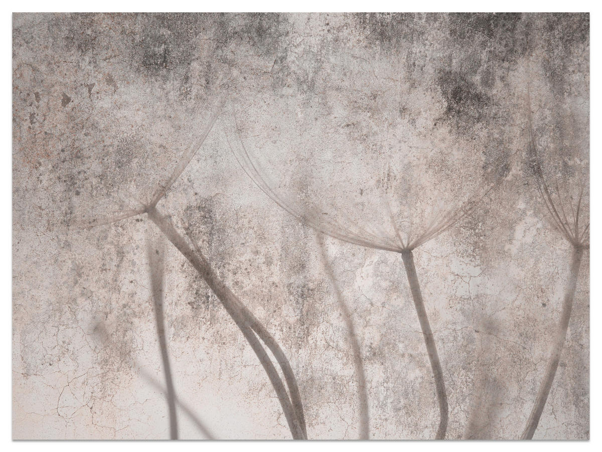 FOTOTAPETE für Schlafzimmer Retro Löwenzahn Beton Beige Minimalistisch 300x210 - Beige/Braun, Papier (300/210cm) - Muralo