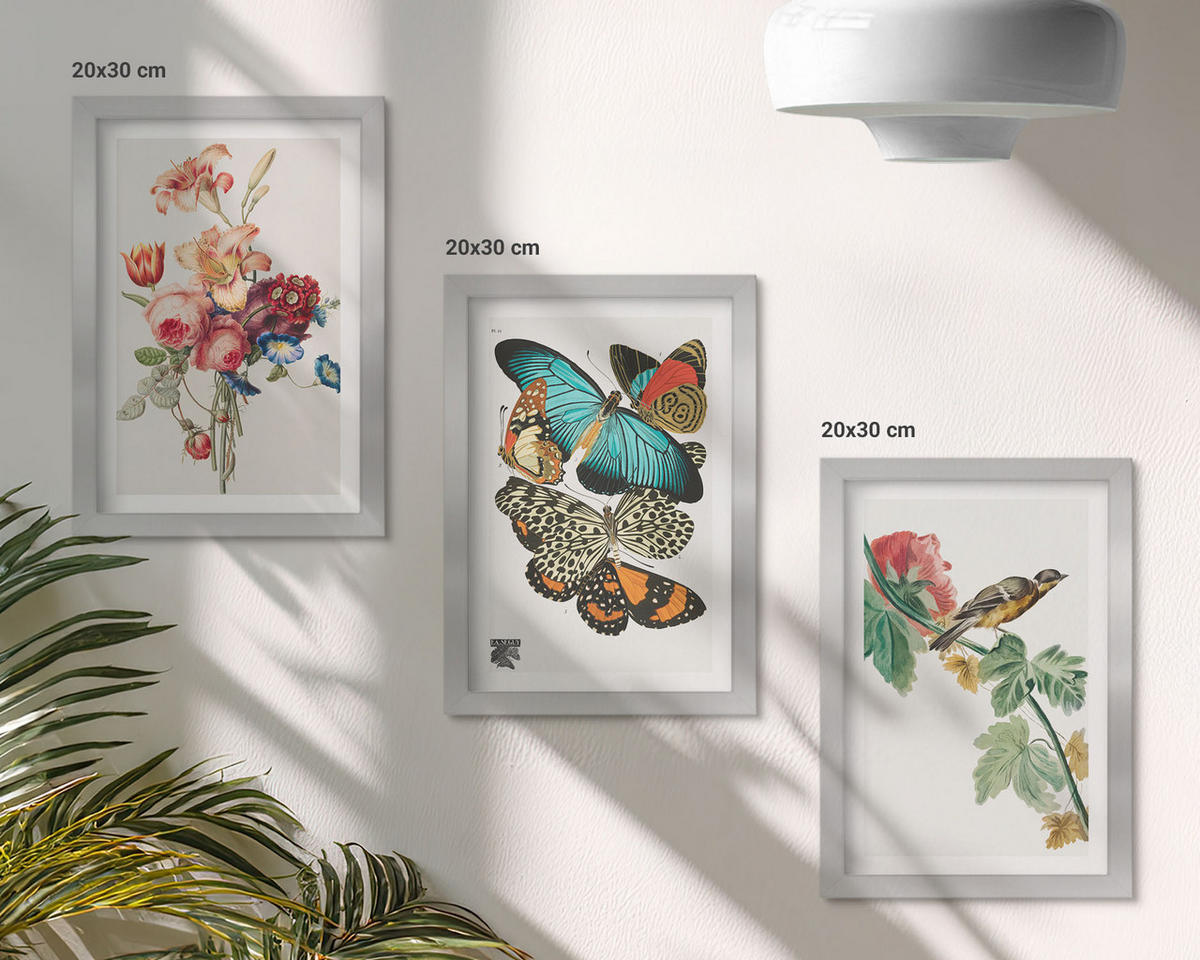 WANDBILDER 3er Set - 20x30 cm Silberner Rahmen - Blumen, Schmetterlinge, Vögel, Pastellfarben - Silberfarben, Kunststoff (20/30cm) - ArtPrintCave