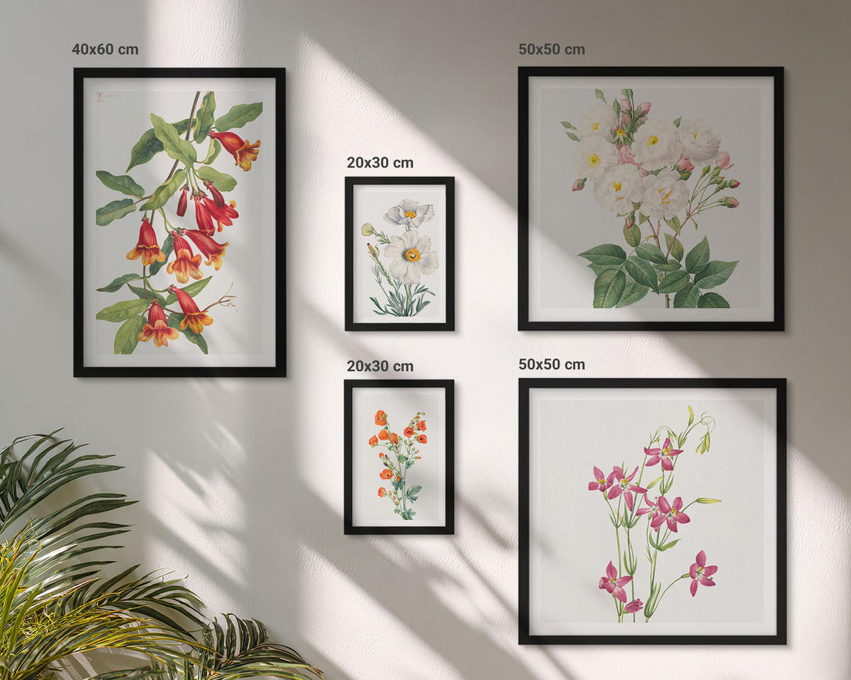 BILDER SET 5er Set - 50x50 cm & 20x30 cm & 40x60 cm Schwarzer Rahmen - Retro-Blumenmalerei - Schwarz, Kunststoff (40/60cm) - TULUP