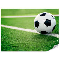 FOTOTAPETE für Jugendzimmer Fußball Grüne Rasen Stadion Sport 300x210 - Schwarz/Weiß, Papier (300/210cm) - Muralo