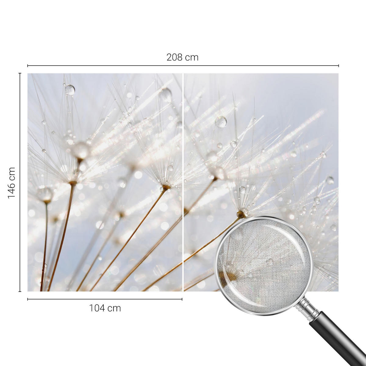 FOTOTAPETE 208x146 cm - Rosafarbener Löwenzahn - Weiß, Textil (208/146cm) - Wallfluent
