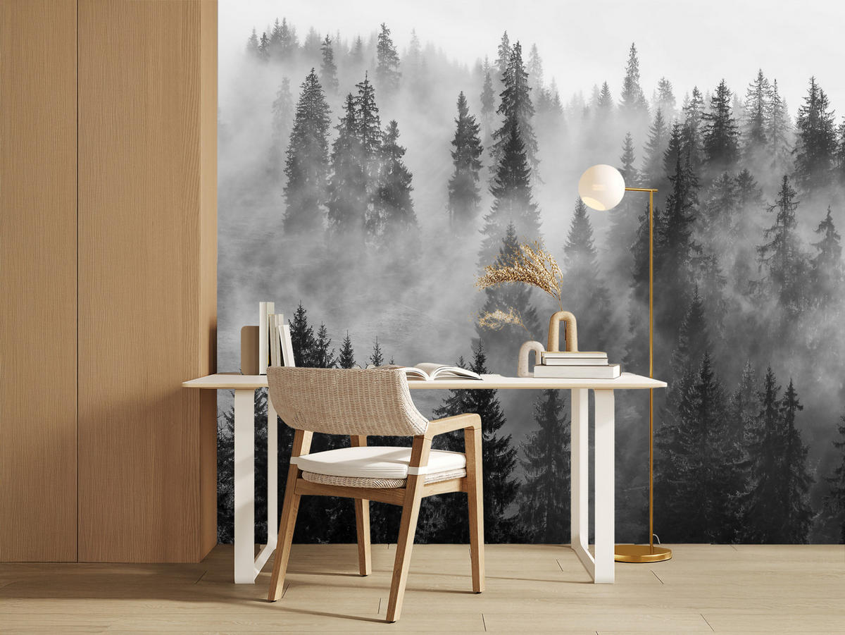 FOTOTAPETA Čierno-biely Les V Hmle Príroda 250 x 175 cm - čierna/sivá, papier (250/175cm) - Muralo