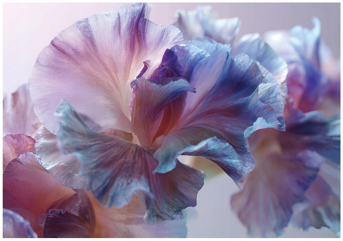 FOTOTAPETE Blumen Abstrakt Lila 350x250 cm - Multicolor, Papier (350/250cm) - Wallarena