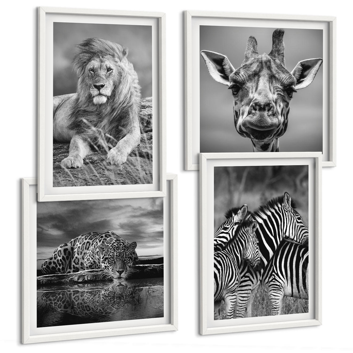 BILDER SET 4er Set - 50x50 cm & 40x60 cm Weißer Rahmen - Wildtiere Löwe Jaguar Giraffe Zebras - Weiß, Kunststoff (50/50cm) - TULUP