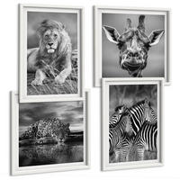 BILDER SET 4er Set - 50x50 cm & 40x60 cm Weißer Rahmen - Wildtiere Löwe Jaguar Giraffe Zebras - Weiß, Kunststoff (50/50cm) - TULUP