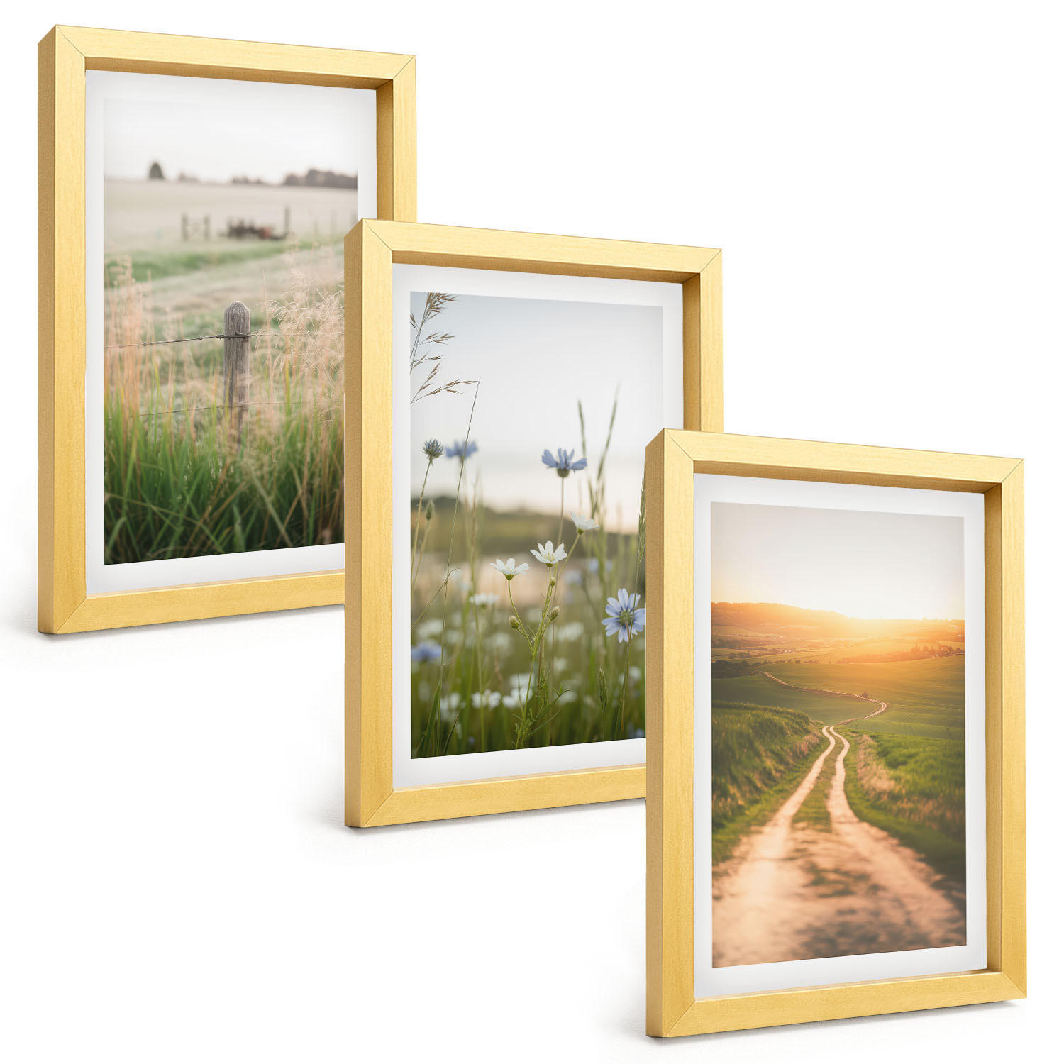 BILDER SET 3er Set - 20x30 cm Goldrahmen - Landschaften Natur Felder Weg - Goldfarben, Kunststoff (20/30cm) - TULUP
