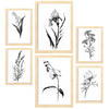 POSTER Set Mit 6 Zarte Blume Größe A3 & A4 Rahmen aus hellem Holz - Beige, Papier (29.7/1cm) - Nacnic