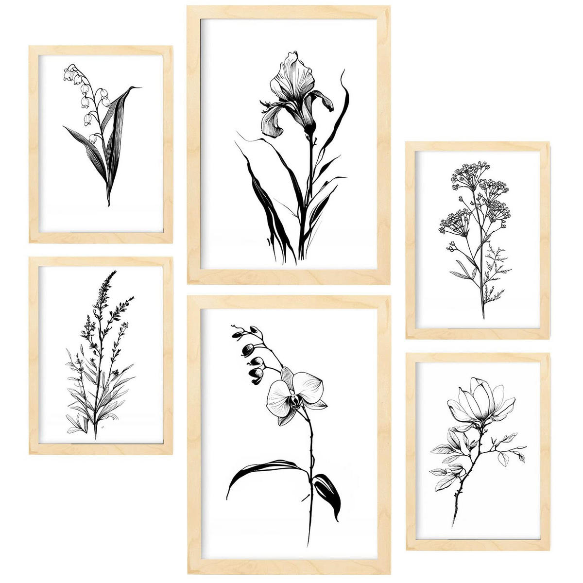 POSTER Set Mit 6 Zarte Blume Größe A3 & A4 Rahmen aus hellem Holz - Beige, Papier (29.7/1cm) - Nacnic