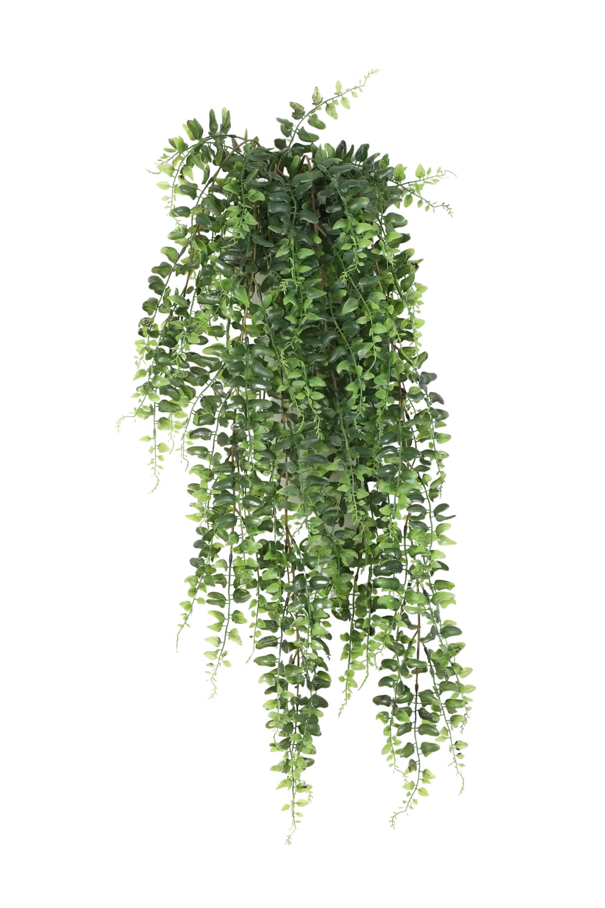 KUNSTPFLANZE Künstlicher Schwertfarn - Elisabeth 75 cm - Grün, Kunststoff (75cm) - aplanta