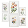 POSTER Set Mit 6 Pastellblume Größe A3 & A4 Weißer Rahmen - Weiß, Papier (29.7/1cm) - Nacnic