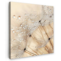 LEINWANDBILD Löwenzahn - Abstrakt - Natur - Beige 50x50 cm - Braun, Textil (50/50cm) - MuchoWow