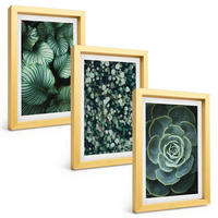 BILDER SET 3er Set - 20x30 cm Goldrahmen - Sukkulenten im Stil grüner Blätter - Goldfarben, Kunststoff (20/30cm) - TULUP