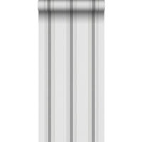 TAPETE Streifen 53 cm x 10.05 m - Grau, Papier (53/1000cm) - Sanders & Sanders