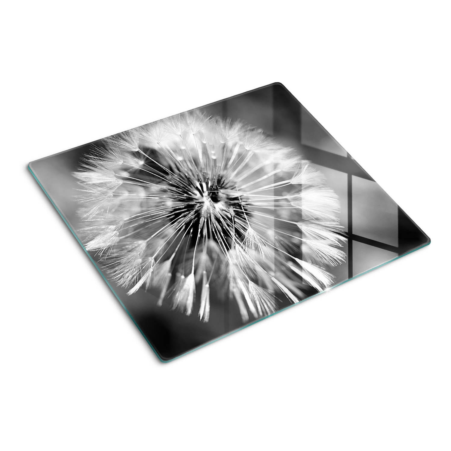 GLASPLATTE 60x52 cm Löwenzahn - Schwarz, Glas (60/0.4/52cm) - TULUP