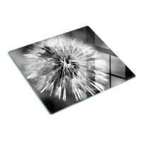 GLASPLATTE 60x52 cm Löwenzahn - Schwarz, Glas (60/0.4/52cm) - TULUP