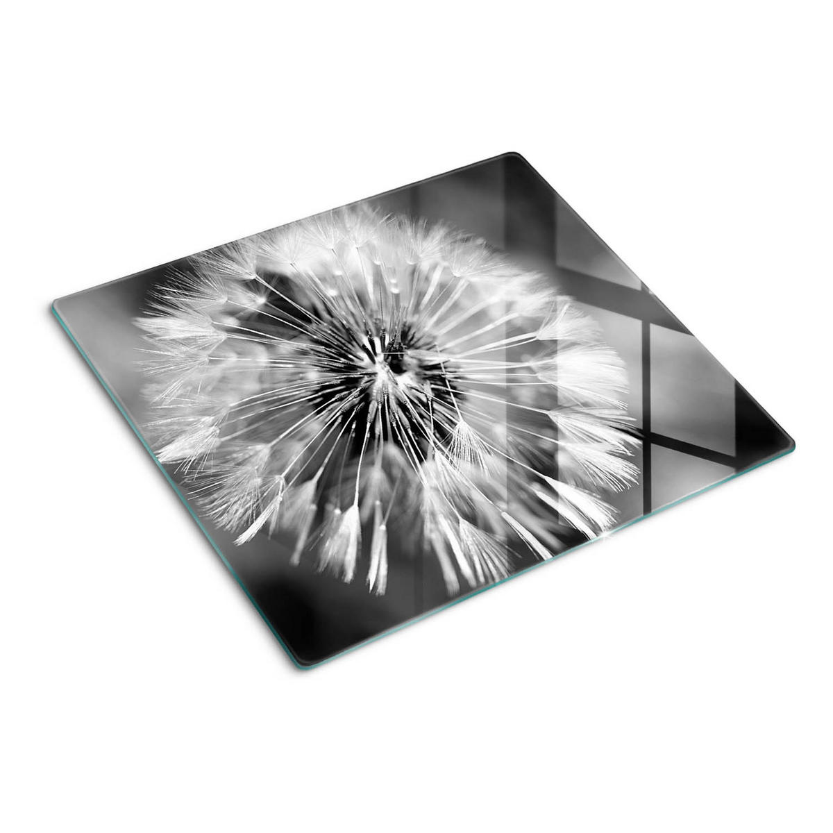 GLASPLATTE 60x52 cm Löwenzahn - Schwarz, Glas (60/0.4/52cm) - TULUP