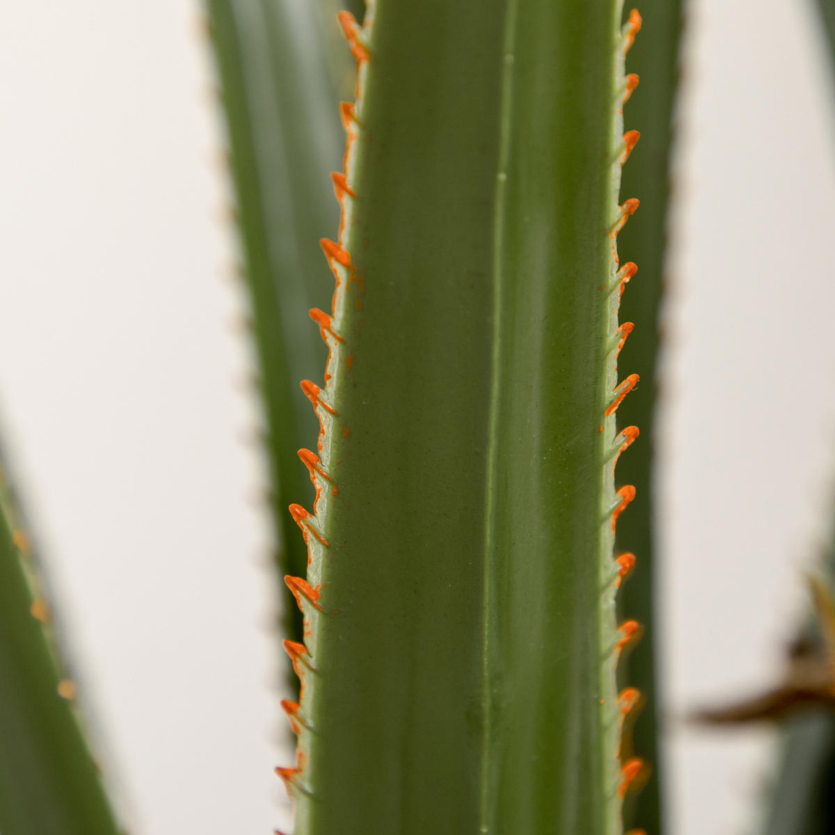 KUNSTPFLANZE Yucca 17/17/190 cm - Smaragdgrün/Schwarz, Holz/Kunststoff (190cm) - HOMCOM