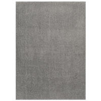 TEPPICH NOYAN Silberfarben 300/400 cm - Silberfarben, Kunststoff (300/400cm) - Tapiso